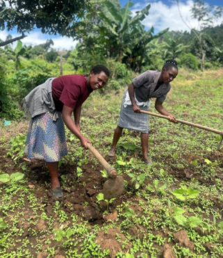 Empowering Young Kenyan Women: High-Iron Bean Farming as a Source of Income