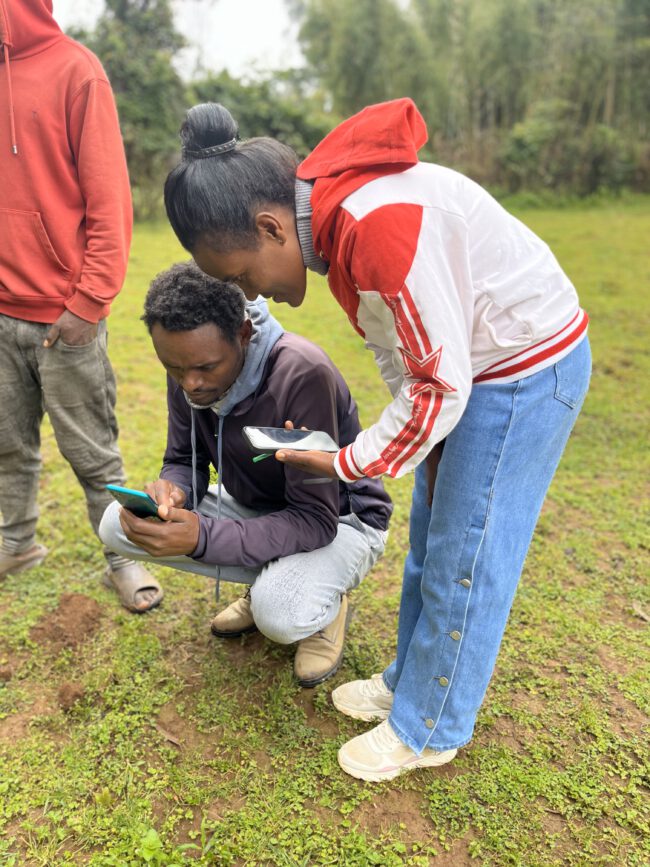 From Forest to Future: Creating Jobs and Sustainable Growth in Ethiopia through Bamboo Agroforestry