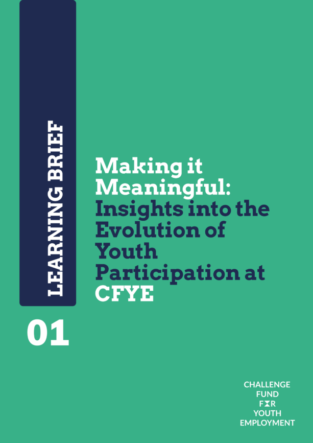 Meaningful Youth Participation Learning Brief