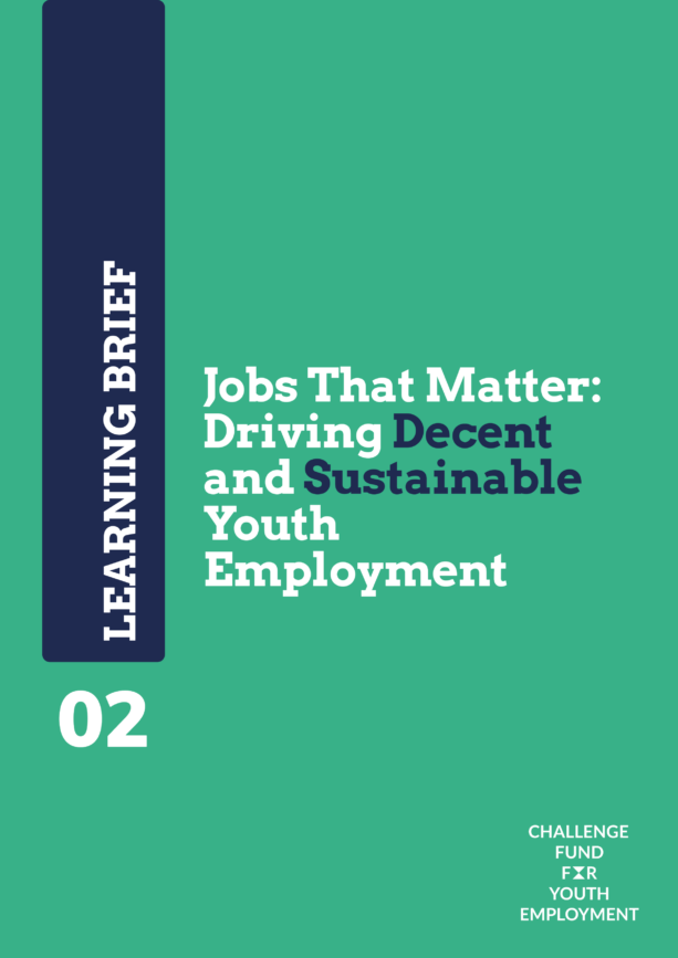 Learning Brief: Social Impact