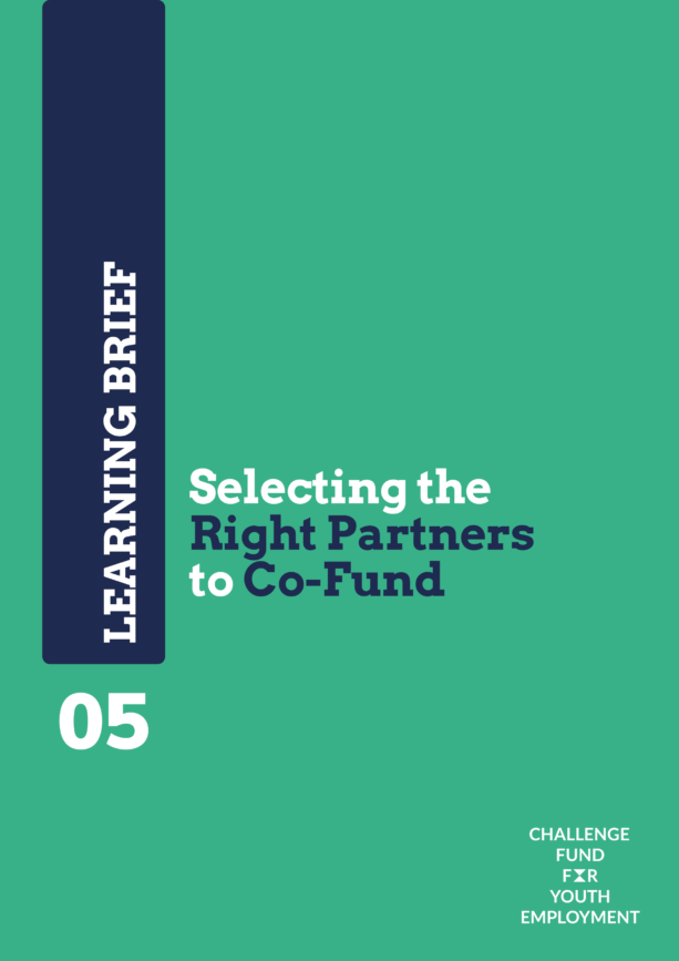 Learning Brief: Selecting the Right Partners to Co-Fund