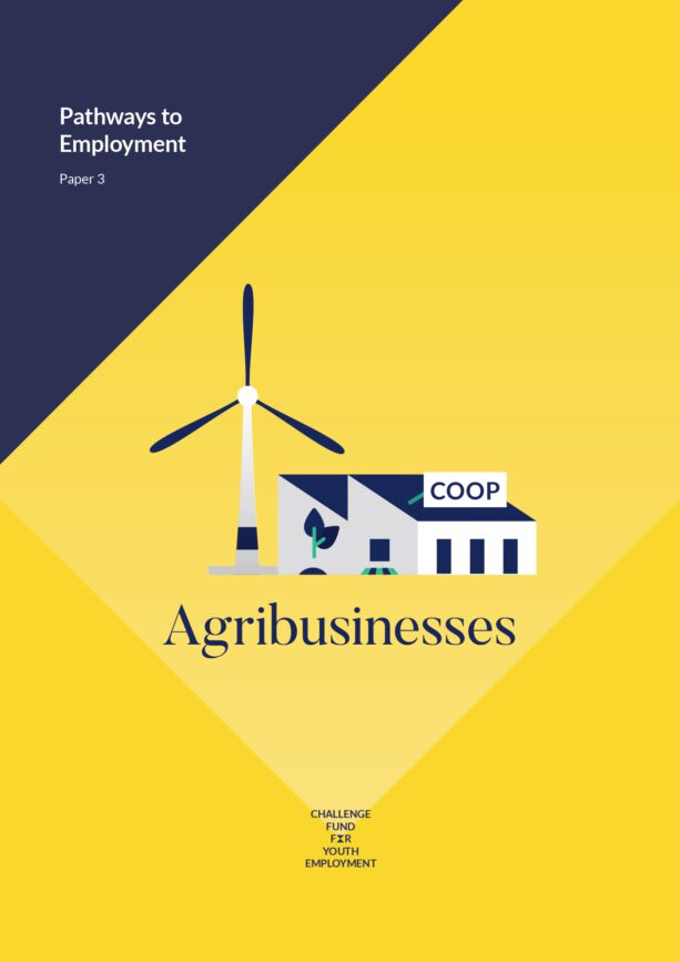 Pathways to Employment: Paper 3